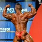 Hidetada  Yamagishi - IFBB Olympia 2015 - #1