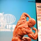 Michael  Kefalianos - IFBB New York Pro 2009 - #1