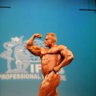 Eugene  Mishin - IFBB New York Pro 2009 - #1