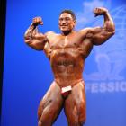 Roelly   Winklaar - IFBB New York Pro 2011 - #1