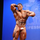 Roelly   Winklaar - IFBB New York Pro 2011 - #1