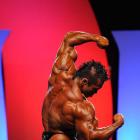 Hidetada  Yamagishi - IFBB Olympia 2010 - #1