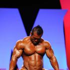 Hidetada  Yamagishi - IFBB Olympia 2010 - #1
