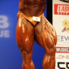 Manuel  Romero - IFBB New York Pro 2010 - #1