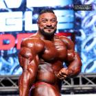 Roelly   Winklaar - IFBB Prague Pro 2016 - #1