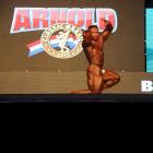 Baitollah  Abbaspour - IFBB Arnold Brasil  2013 - #1