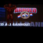 Mohammed   Ali Bannout - IFBB Arnold Brasil  2013 - #1