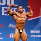 Mehdi  Hatami - IFBB Nordic Pro 2013 - #1