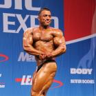 Mehdi  Hatami - IFBB Nordic Pro 2013 - #1