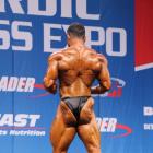 Mehdi  Hatami - IFBB Nordic Pro 2013 - #1