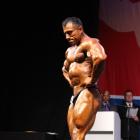 Mehdi  Hatami - IFBB Nordic Pro 2013 - #1