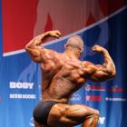 Jerry  Ossi - IFBB Nordic Pro 2013 - #1