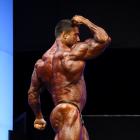 Sergey  Shelestov - IFBB FIBO Power Pro Germany 2012 - #1