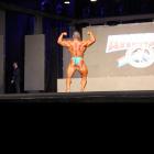 Baitollah  Abbaspour - IFBB Arnold Brasil  2013 - #1