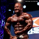 Ronny   Rockel - IFBB Prague Pro 2015 - #1