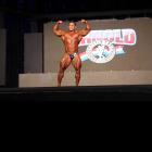 Hidetada  Yamagishi - IFBB Arnold Brasil  2013 - #1