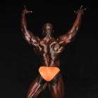 Rudy   Richards - NPC Team Universe 2013 - #1