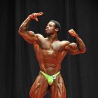 Breon  Ansley - NPC USA 2013 - #1