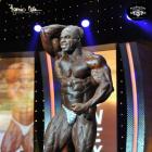 Toney  Freeman - IFBB Arnold Classic 2014 - #1