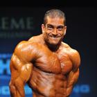 Raul  Carrasco Jimenez - IFBB Toronto Pro Supershow 2013 - #1
