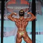 Rita  Bello - IFBB Wings of Strength Tampa  Pro 2013 - #1