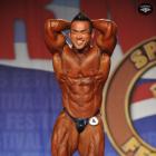 Hidetada  Yamagishi - IFBB Arnold Classic 2014 - #1