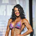 Kim  Seeley - IFBB St Louis Pro Figure & Bikini 2013 - #1