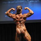 Rita  Bello - IFBB Toronto Pro Supershow 2013 - #1