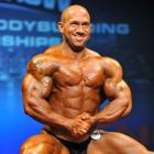 Amit  Sapir - IFBB Toronto Pro Supershow 2013 - #1