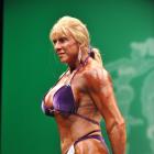 Sarah  Bridges - IFBB New York Pro 2013 - #1