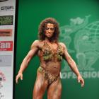 Gina   Quinn - IFBB New York Pro 2013 - #1