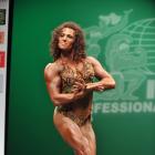 Gina   Quinn - IFBB New York Pro 2013 - #1