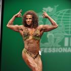 Gina   Quinn - IFBB New York Pro 2013 - #1