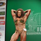 Gina   Quinn - IFBB New York Pro 2013 - #1