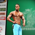 Sean  Sapera - IFBB New York Pro 2013 - #1