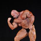 Branch  Warren - IFBB Pittsburgh Pro 2013 - #1