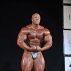 Shawn  Rhoden - IFBB Pittsburgh Pro 2013 - #1