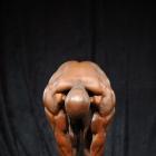 Moses   Ajala - NPC Masters Nationals 2012 - #1