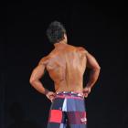 Fawad  Ahadi - IFBB Pittsburgh Pro 2013 - #1