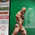 Al  Auguste - IFBB New York Pro 2013 - #1
