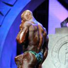 Toney  Freeman - IFBB Arnold Classic 2013 - #1