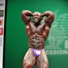 Darron  Glenn - IFBB New York Pro 2013 - #1