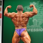 Vincente  Santamaria Martinez - IFBB New York Pro 2013 - #1