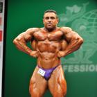 Vincente  Santamaria Martinez - IFBB New York Pro 2013 - #1