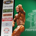 Dainius  Barzinskas - IFBB New York Pro 2013 - #1