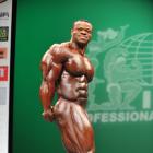 Clarence   DeVis - IFBB New York Pro 2013 - #1