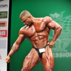 Mike  Johnson - IFBB New York Pro 2013 - #1