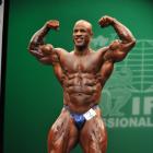 Victor  Martinez - IFBB New York Pro 2013 - #1