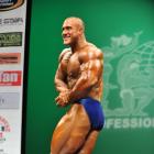 Antoine  Vaillant - IFBB New York Pro 2013 - #1