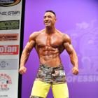 William  Sullivan - IFBB New York Pro 2013 - #1